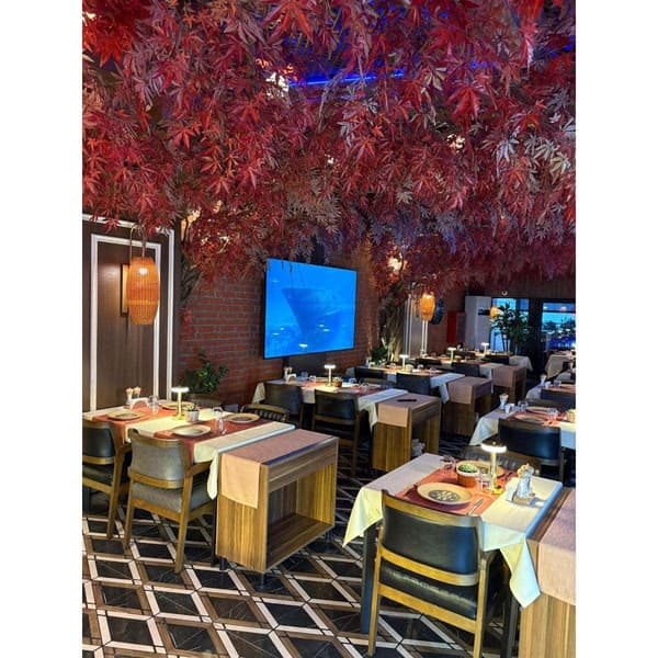 Palmiye Restoran - 13. Fotoğraf