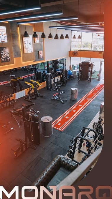 MonarQ Pt Studio MonarQ Pt Studio